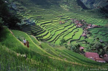 Banaue_Rice_Terraces_compressed